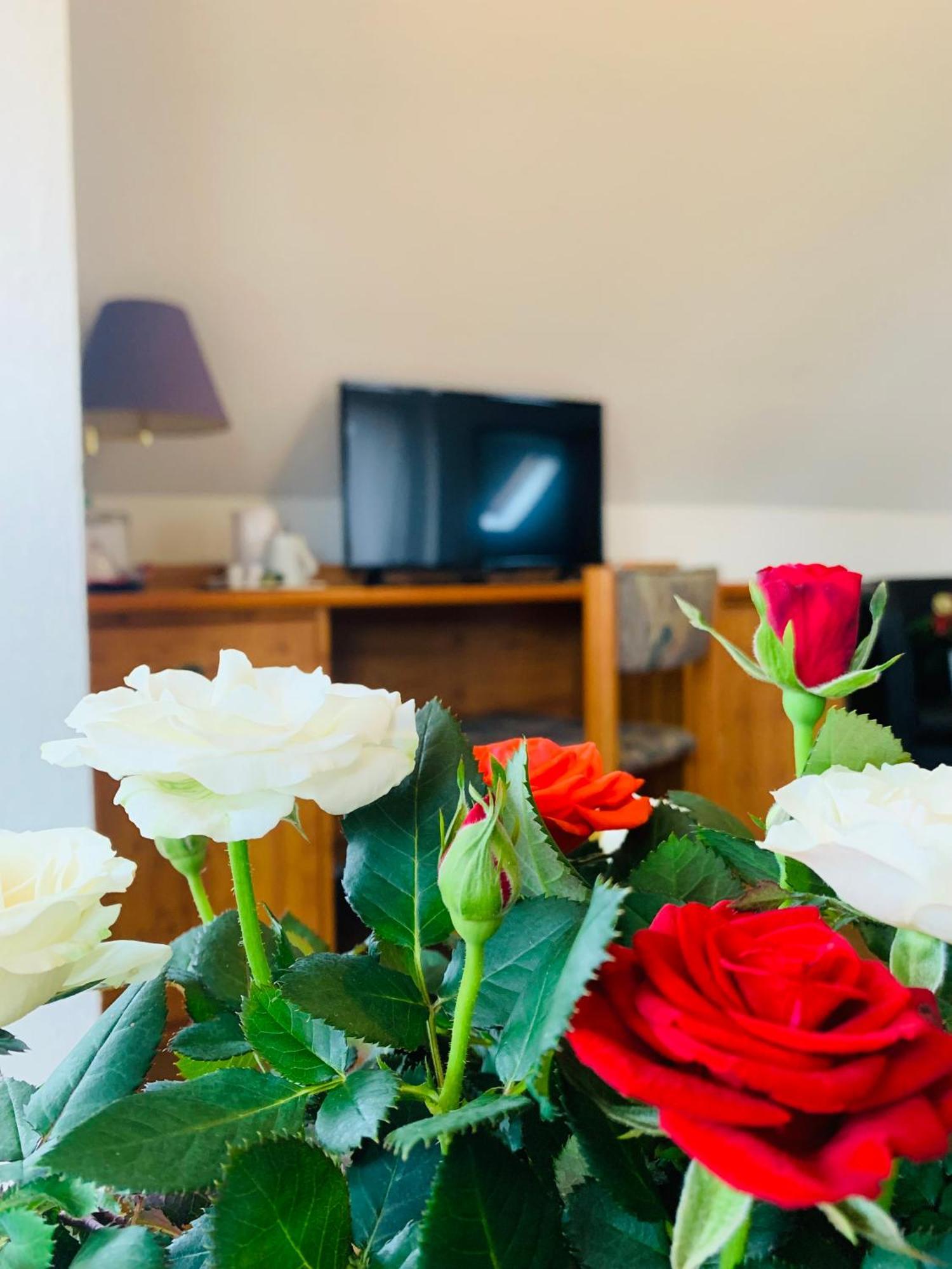 Hotel Garni Rosbach vor der Höhe Εξωτερικό φωτογραφία